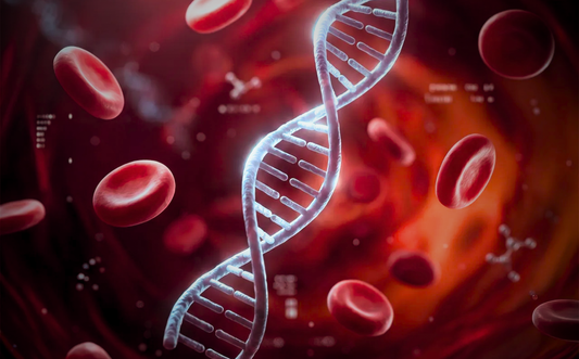 DNA May Determine